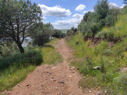 Flora del Cerro Masatrigo